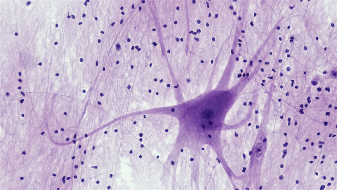 The Role of Biological Neural Networks