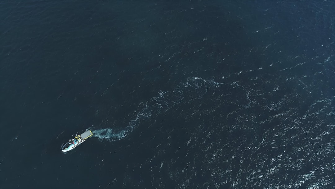 The Impact of Offshore Tax Strategies