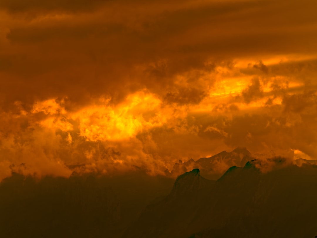 Provincial Response and Historical Context