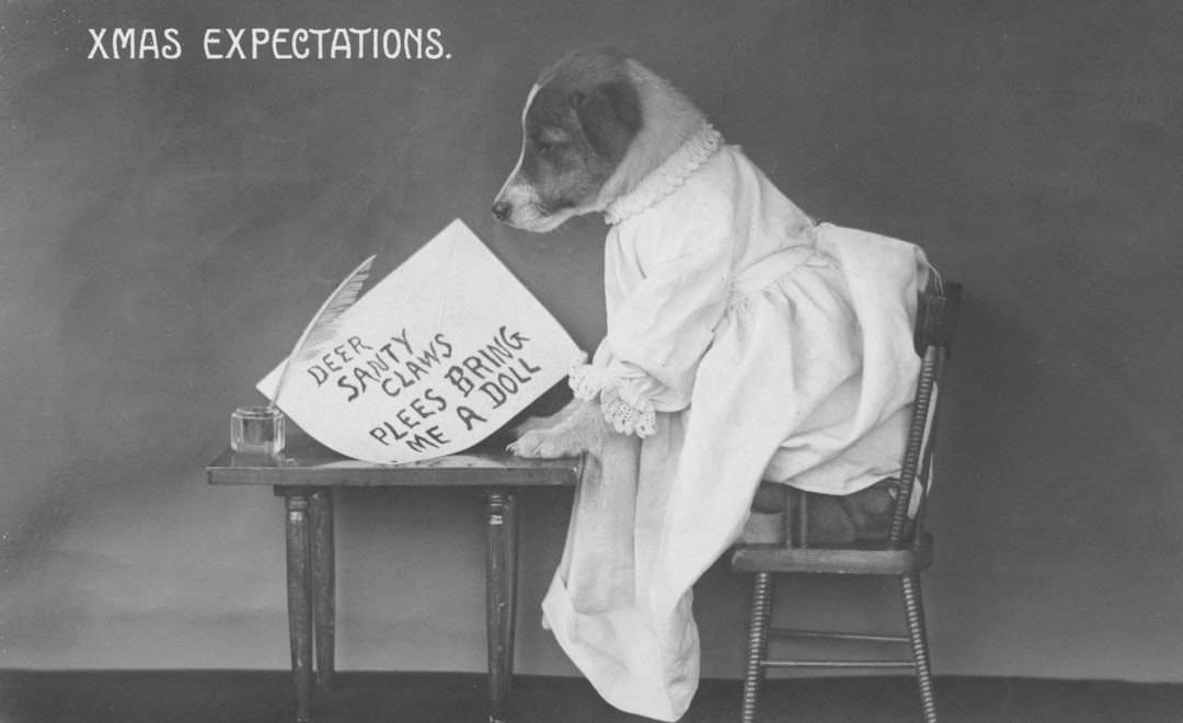 Historical Context and Expectations