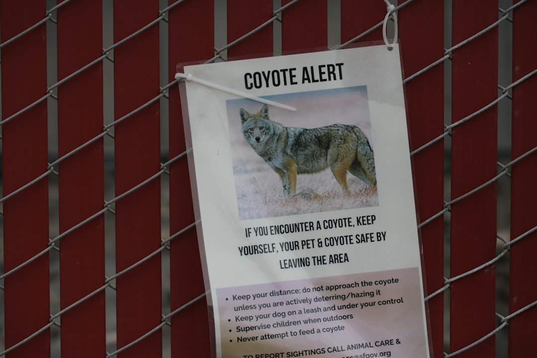 A Community on Alert