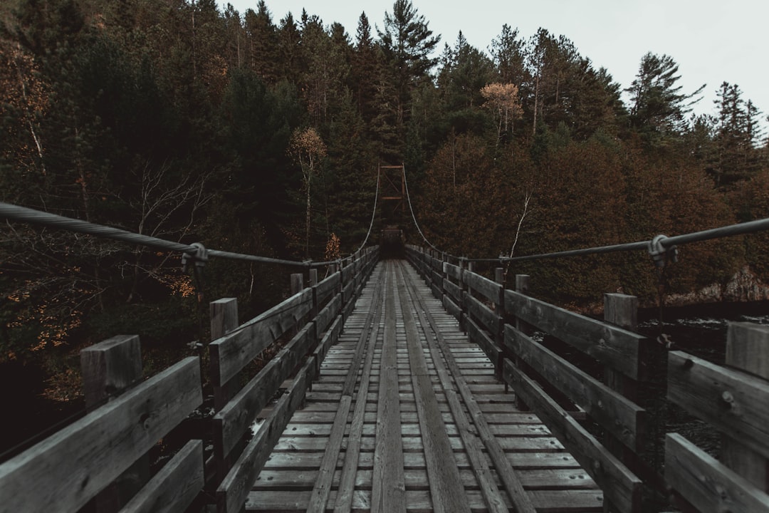 Building Bridges Between Sectors