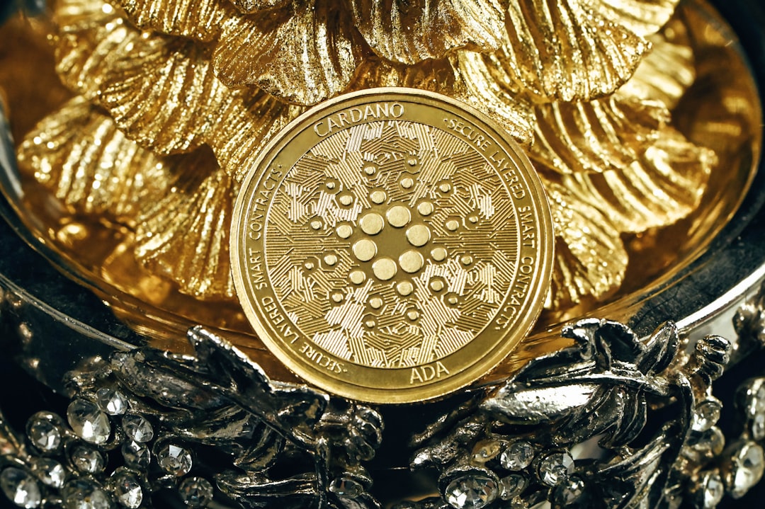Features of the Commemorative Coin