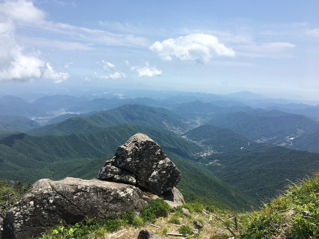 Georgia's High-Stakes Contest