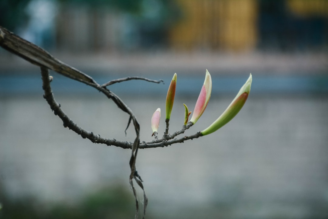 A Growing Sense of Vulnerability