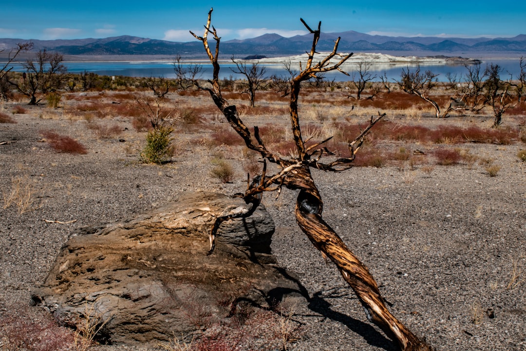 The Erosion of Climate Advocacy