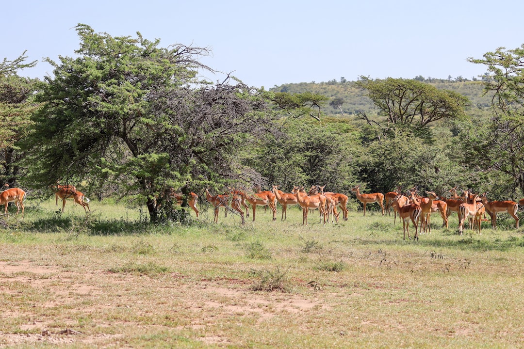 Collaborative Efforts for Conservation