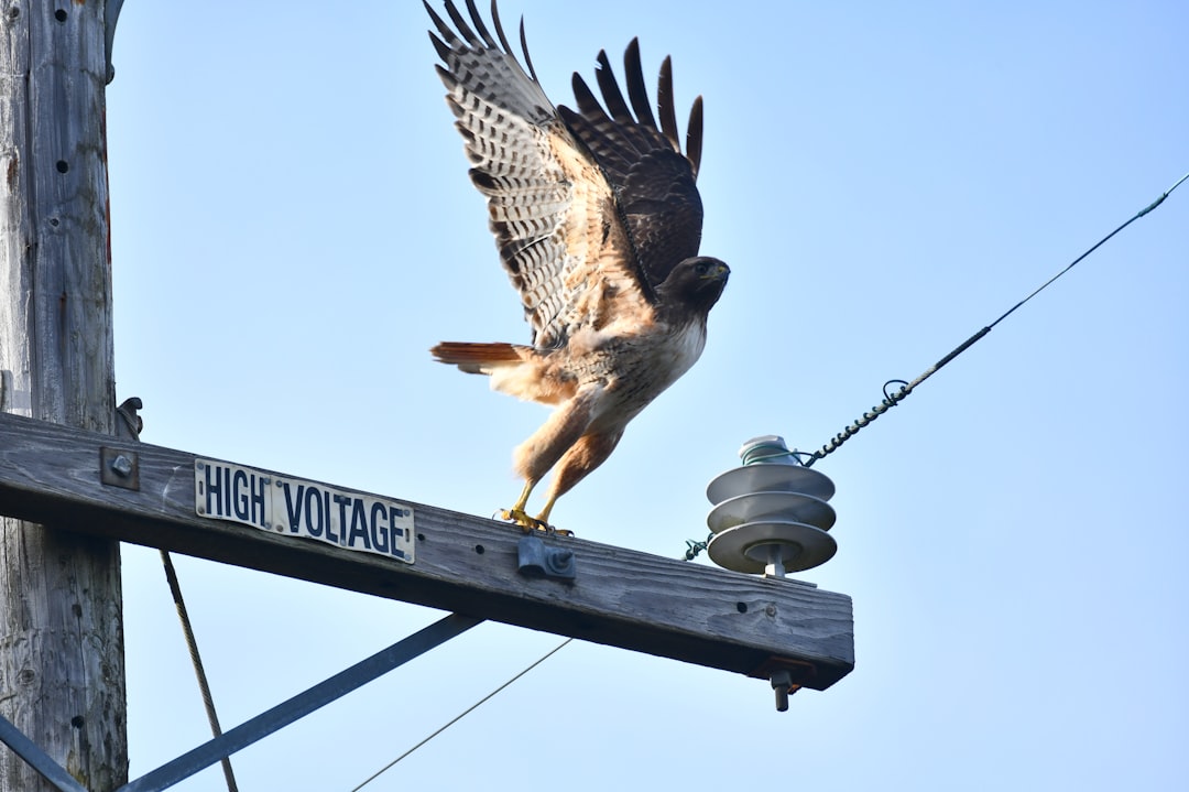 Unregulated and Unsafe