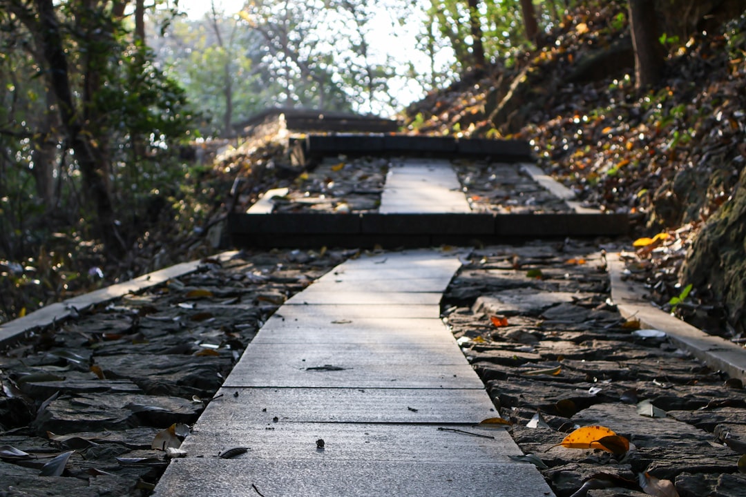 The Path Forward: Rebuilding Confidence