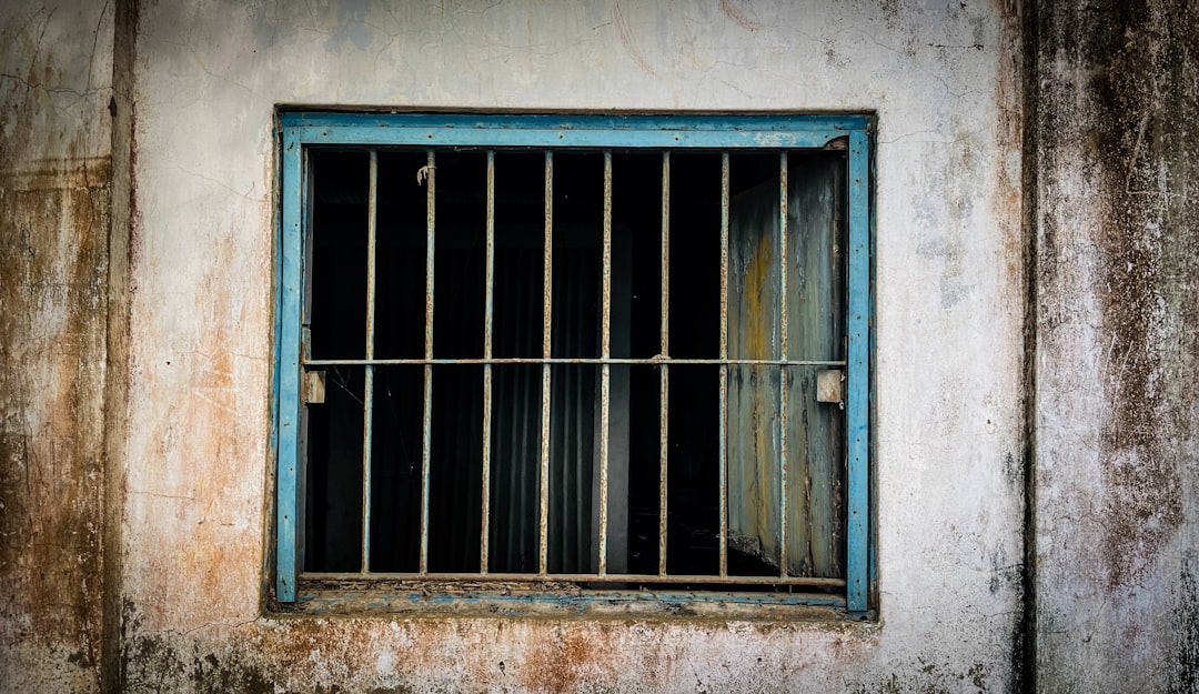 Consequences of Incarceration