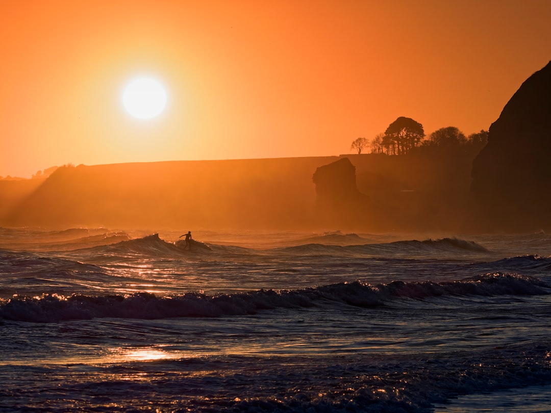 The Competitive Landscape