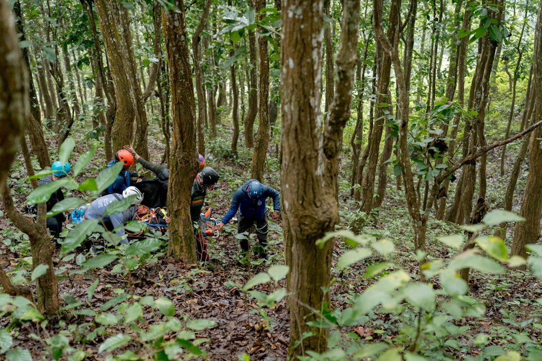 Collaborative Efforts for Conservation