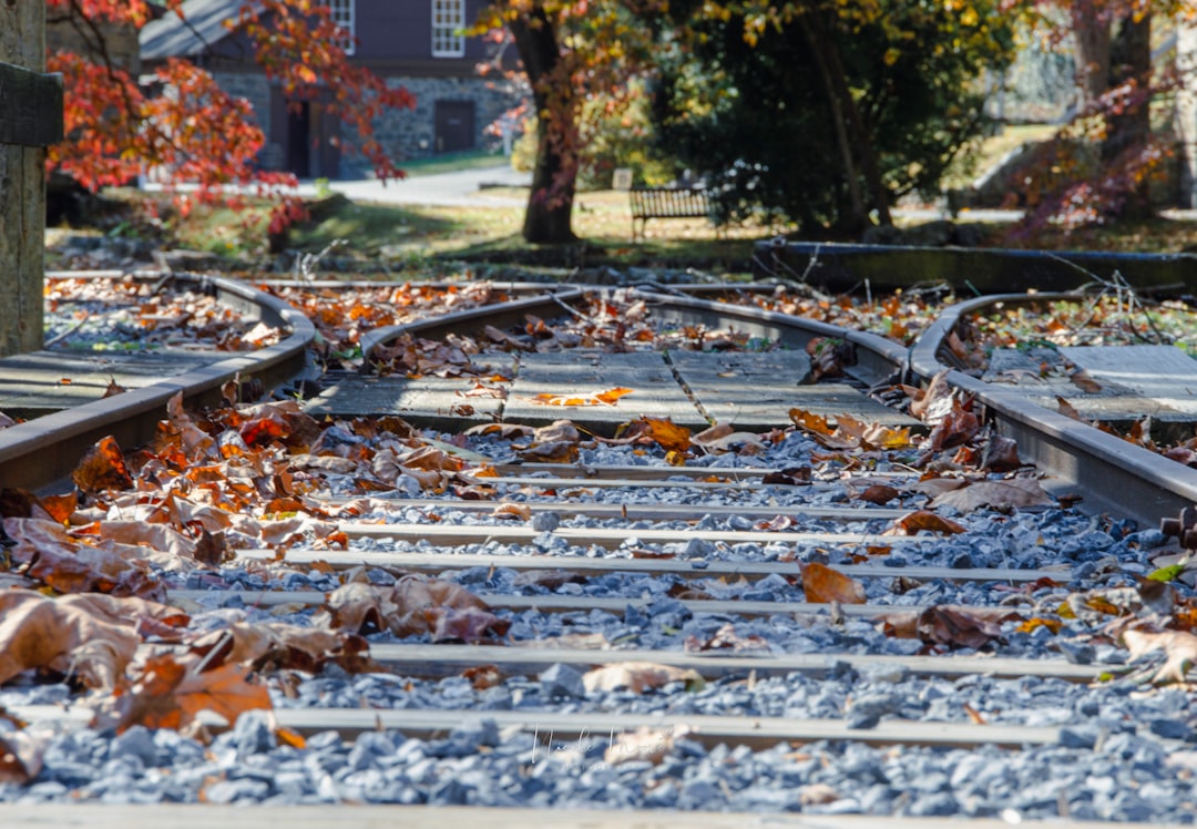 An Uncertain Path Forward