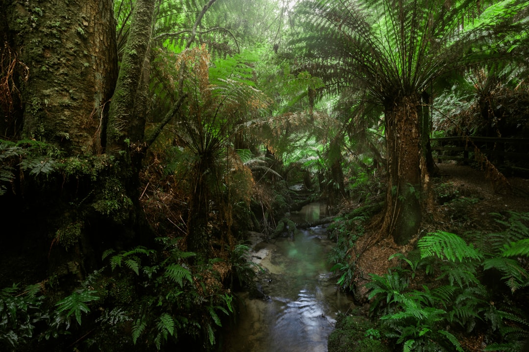Discovering New Species and Ecosystems