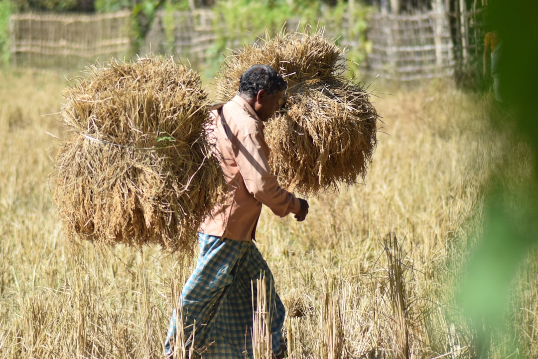 The Economic Pressures on Farmers