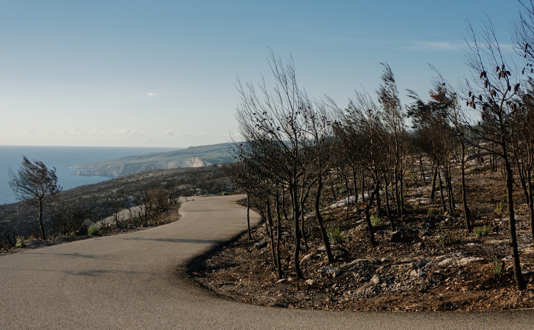 The Environmental Impact of Road Salt