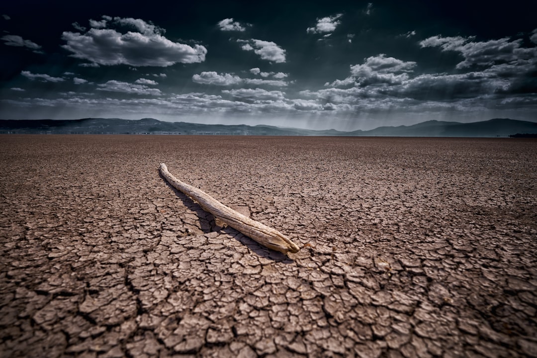 The Erosion of Climate Advocacy