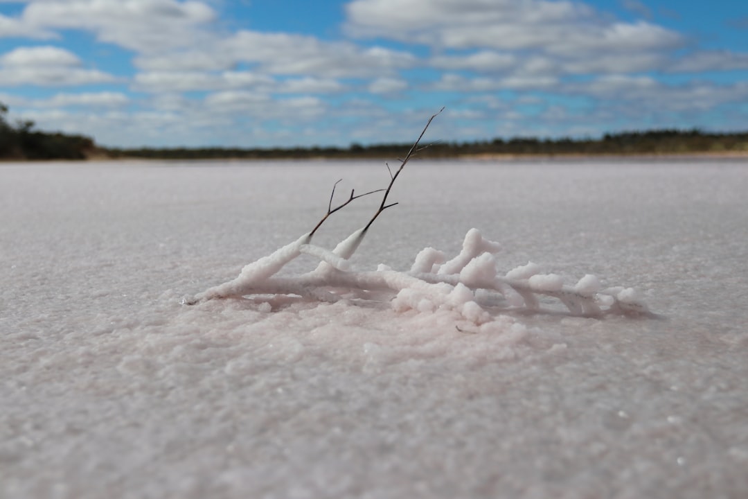 The Dangers of Salt Runoff