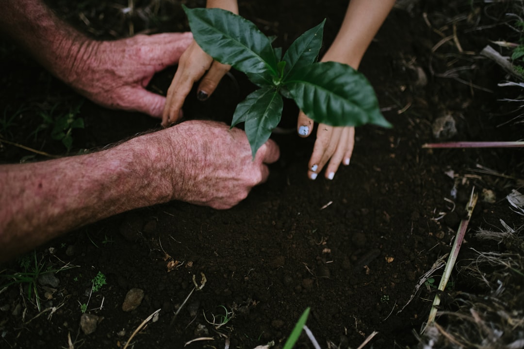 A Cultural Connection to Soil Health