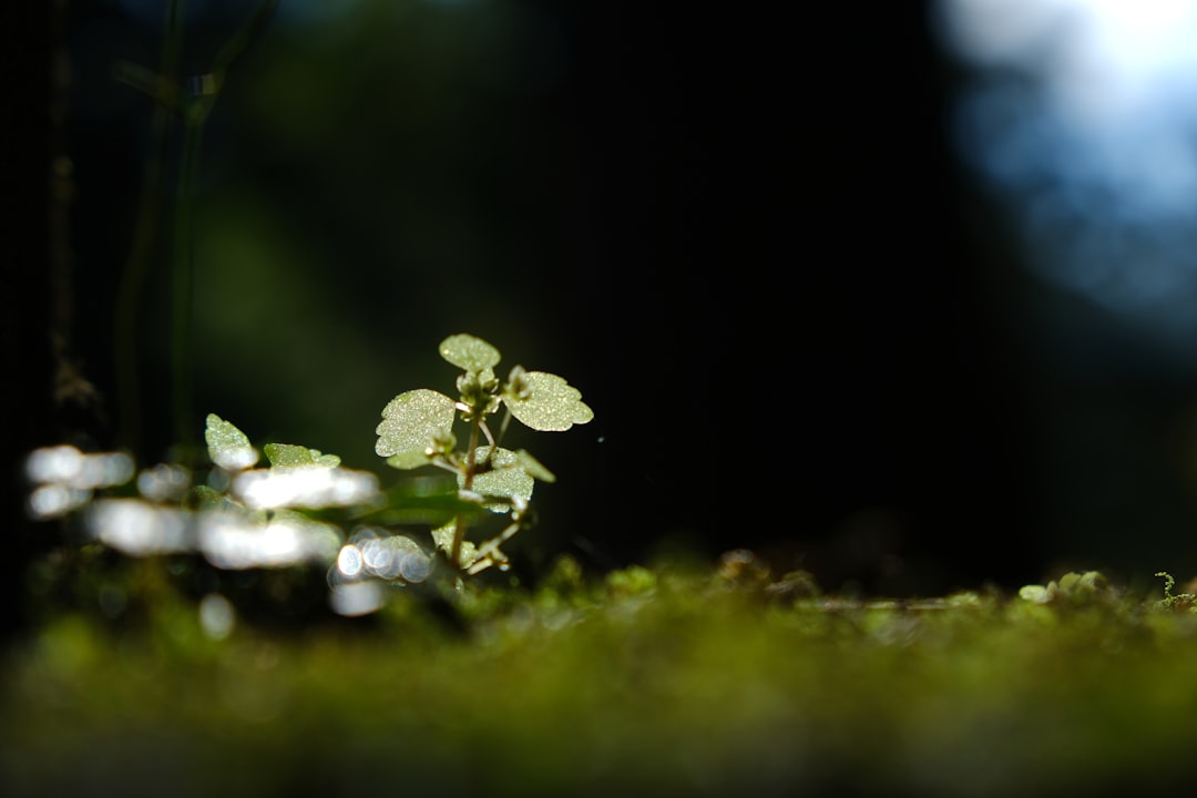 A Step Toward Sustainable Solutions