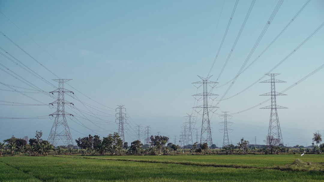 Domestic Energy Landscape Ahead of Elections