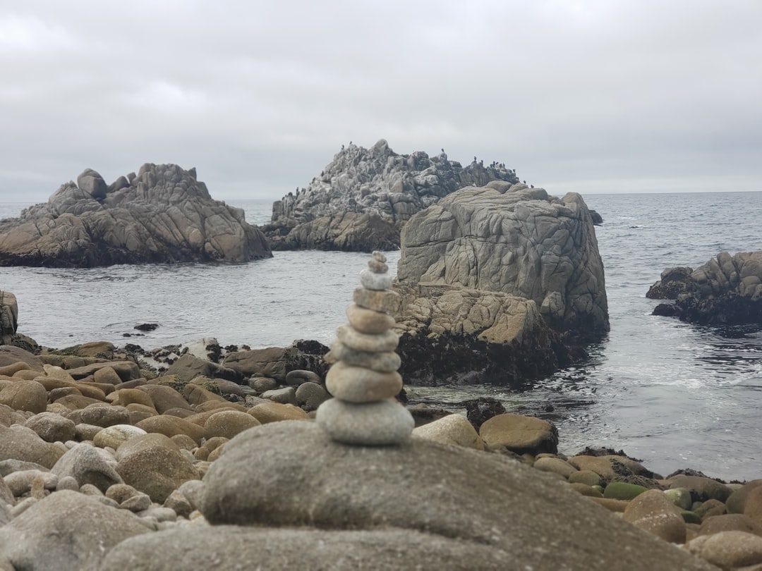 Looking Ahead: A Balancing Act