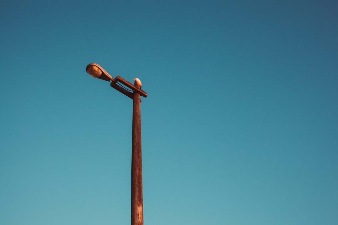 Ongoing Legal Battles