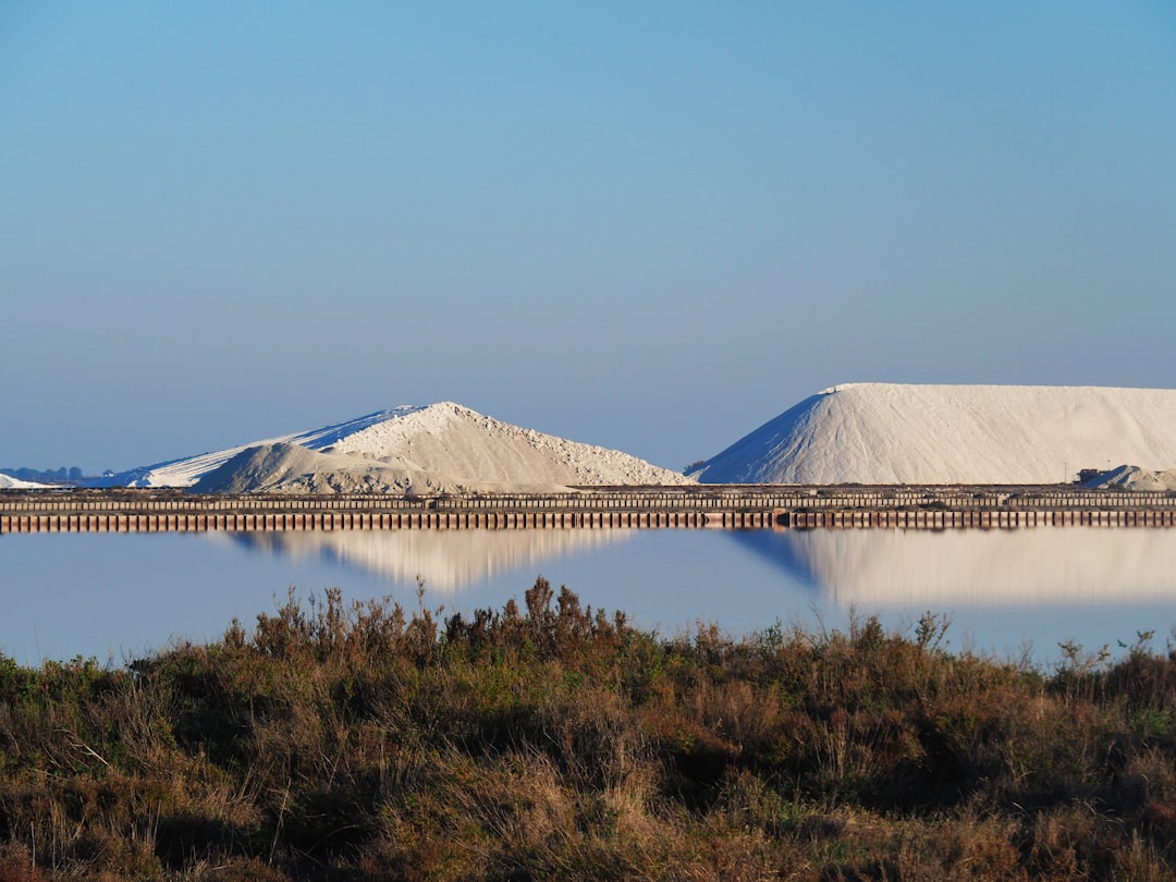 Environmental Ramifications of Salt Runoff