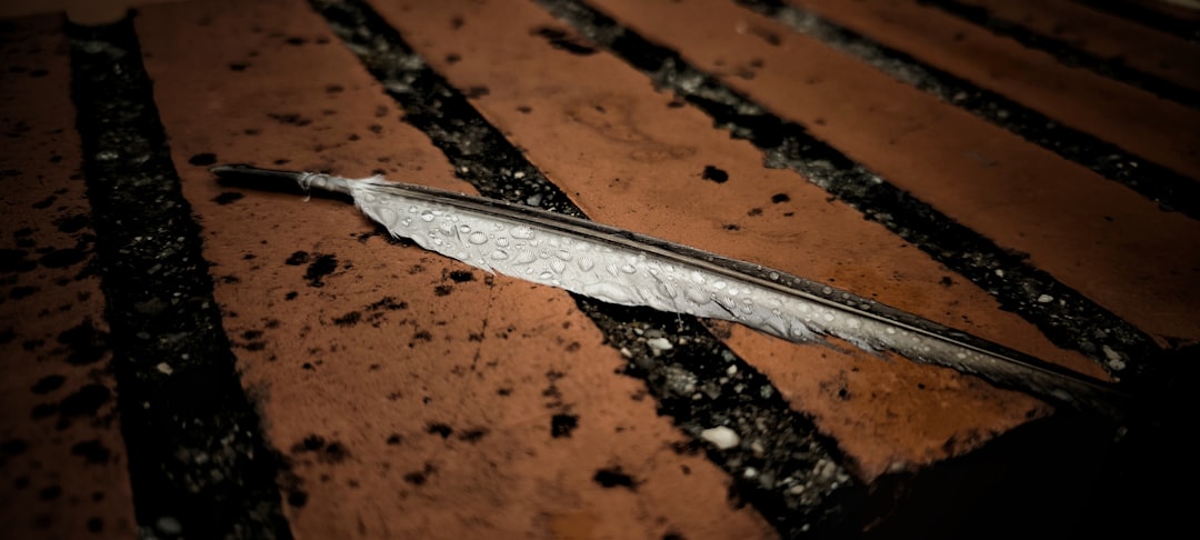 The Fragile Nature of Water Supply