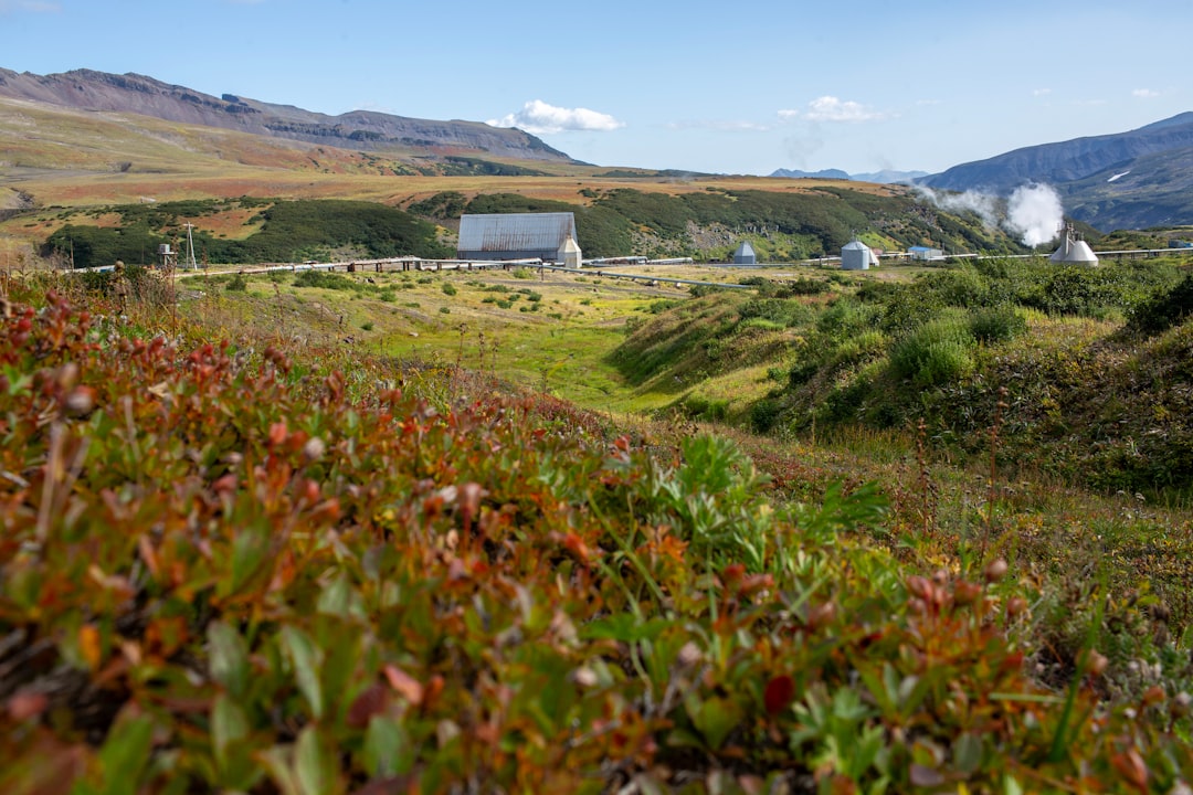 The Impact of War and Isolation