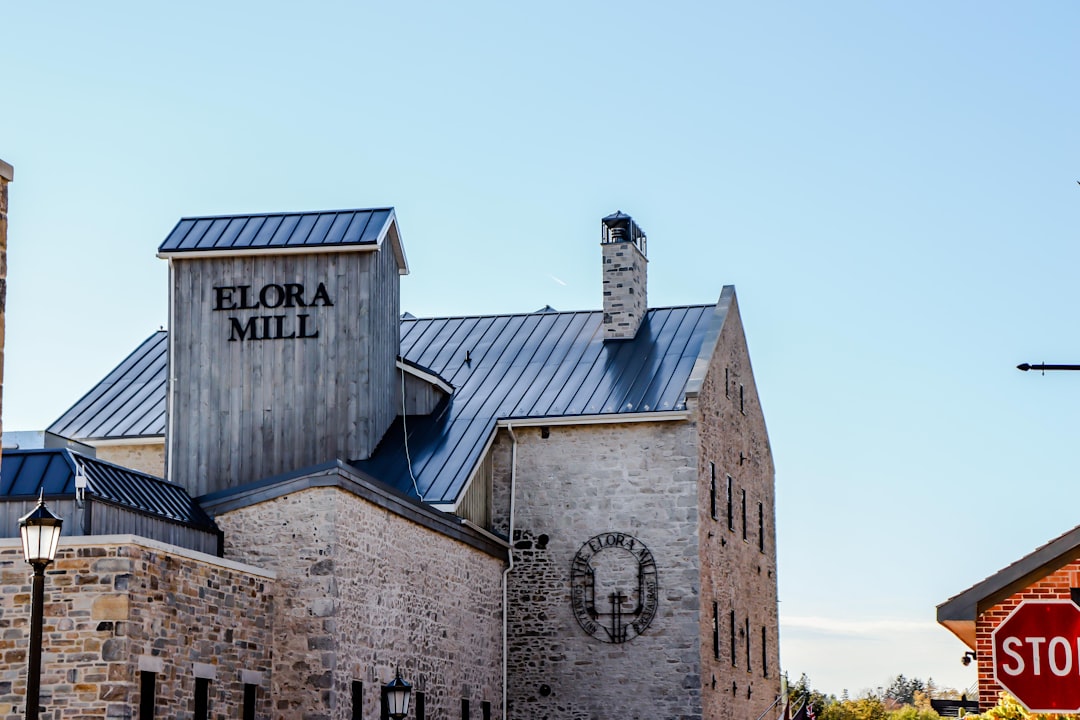 Mills' Strategy in a Polarizing Race