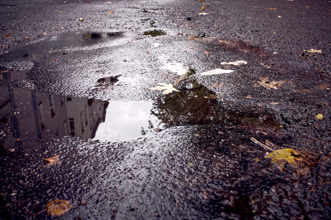 The Costly Consequences of Potholes