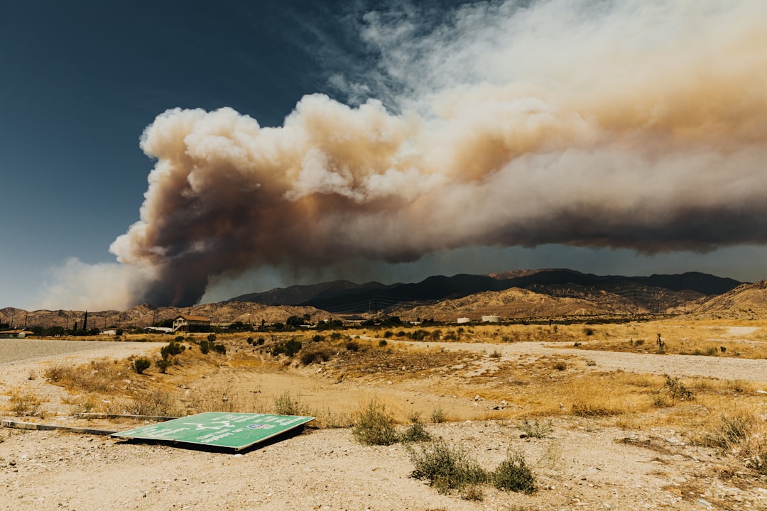 Government Perspective on Wildfire Management