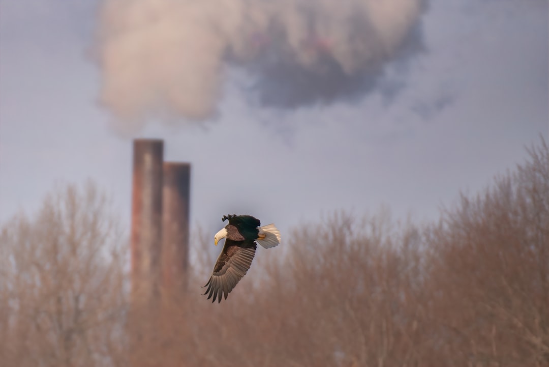 Community Backlash and Environmental Concerns