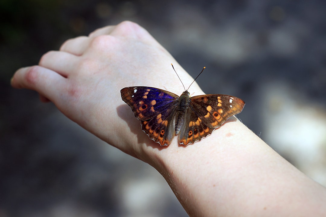 The Butterfly Effect of Change