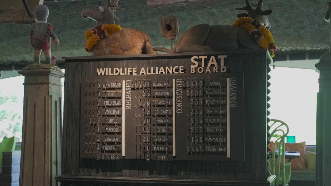 Data Centres: A Wild Card in Energy Demand