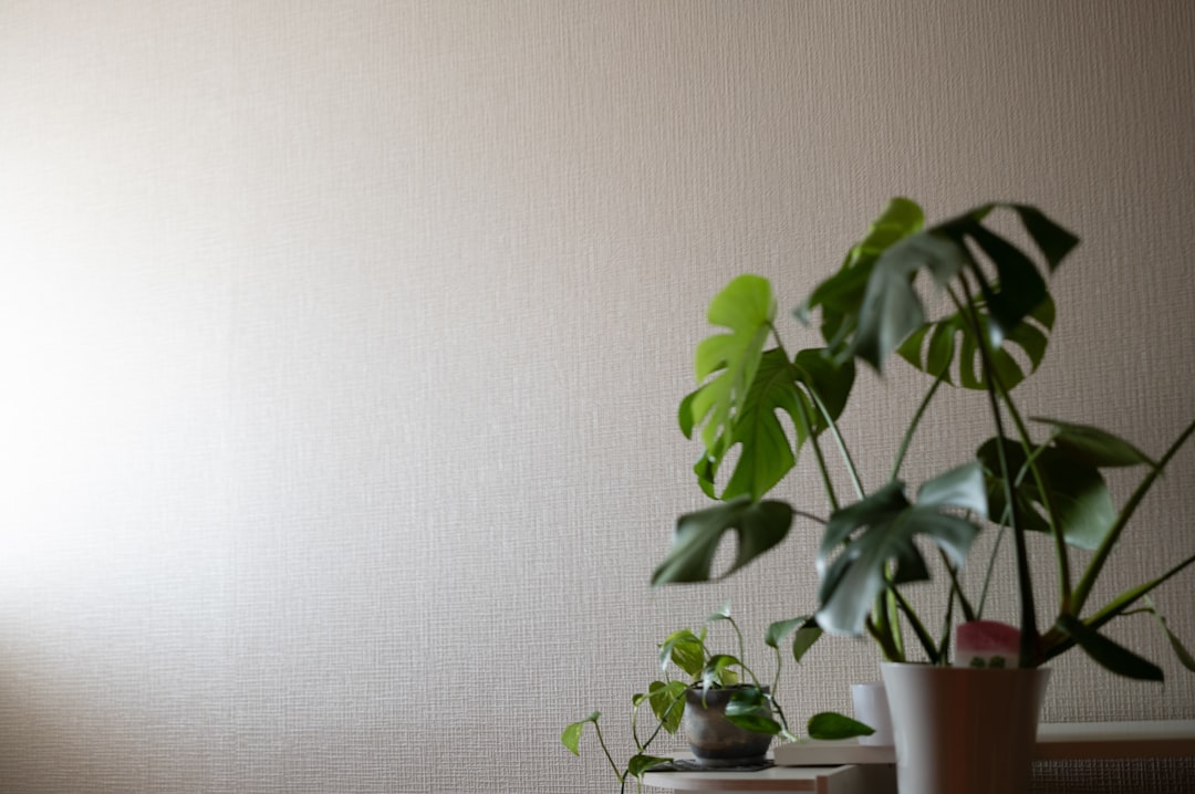 The PFAS Problem: A Growing Concern