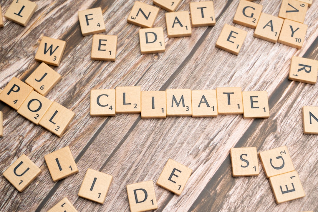 Funding Climate Resilience through Innovative Taxation