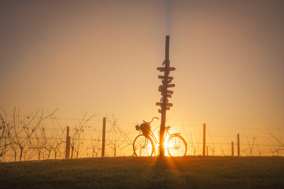 Exploring Alternatives