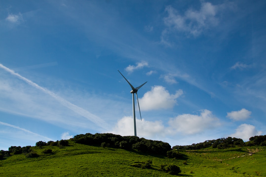 Renewable Energy's Role