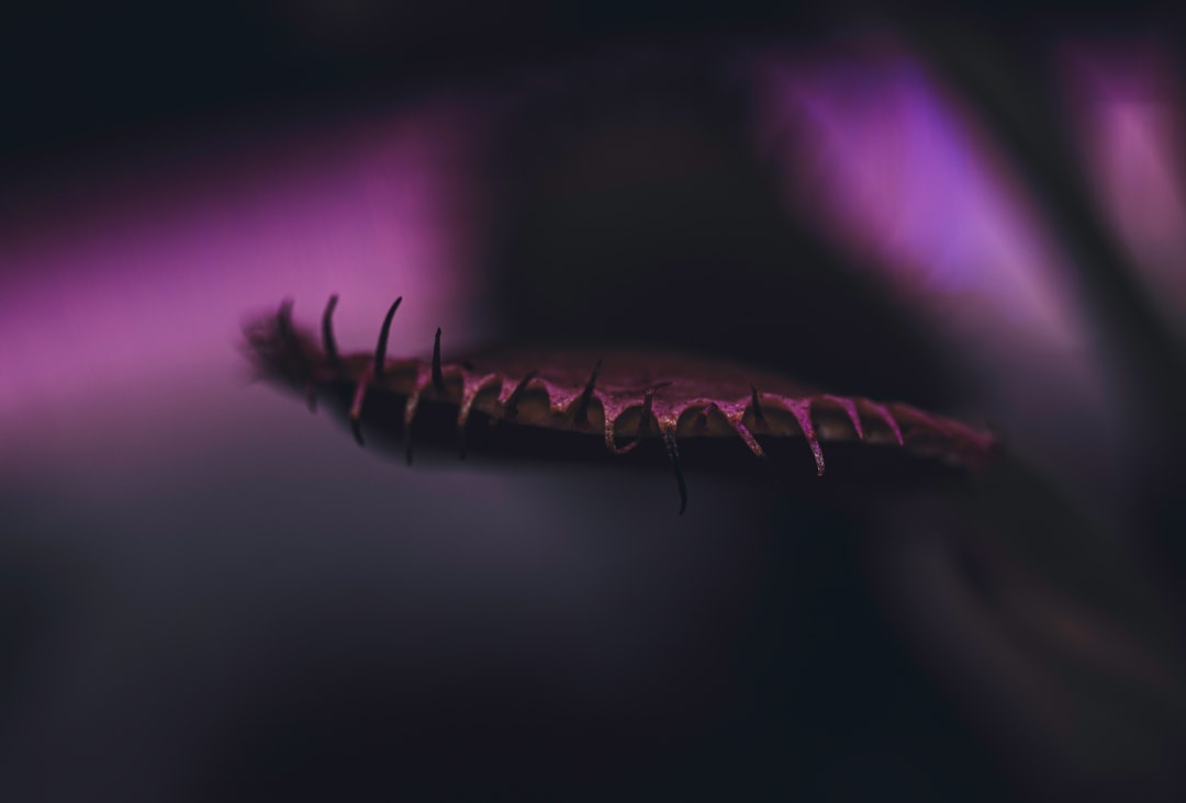 The Monster’s Journey