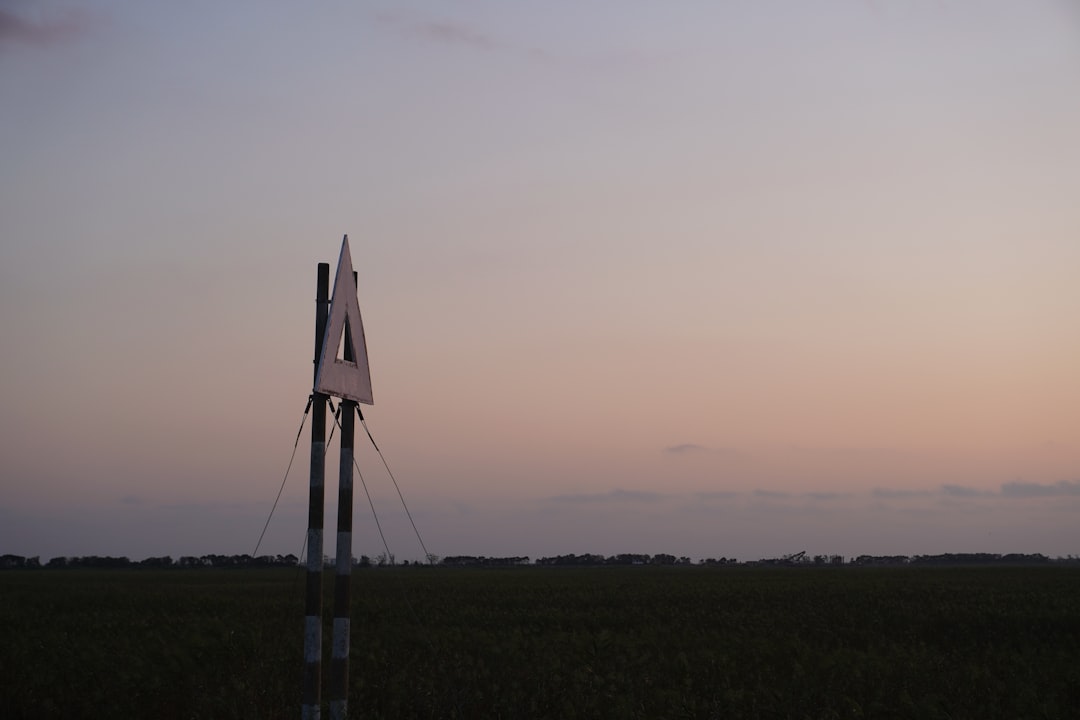 The Pressure to Launch