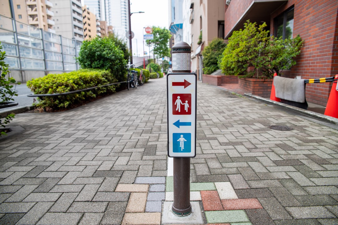 The Future of AI Regulation