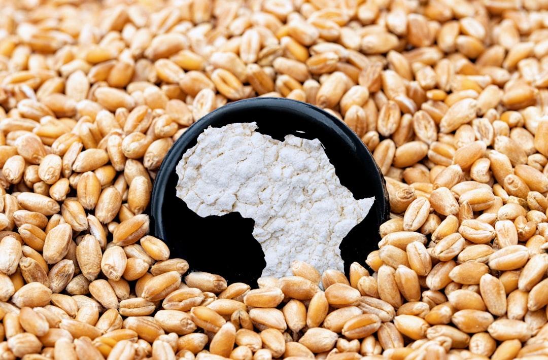 Impact on African Exports