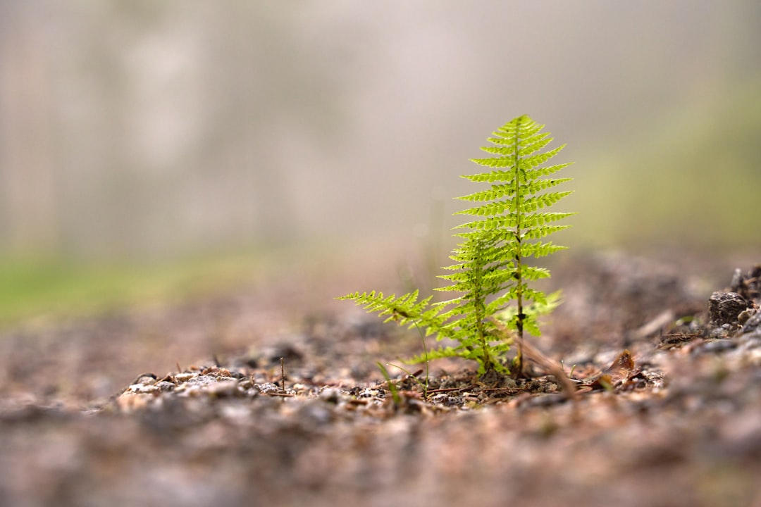 Steps Toward Sustainable Solutions