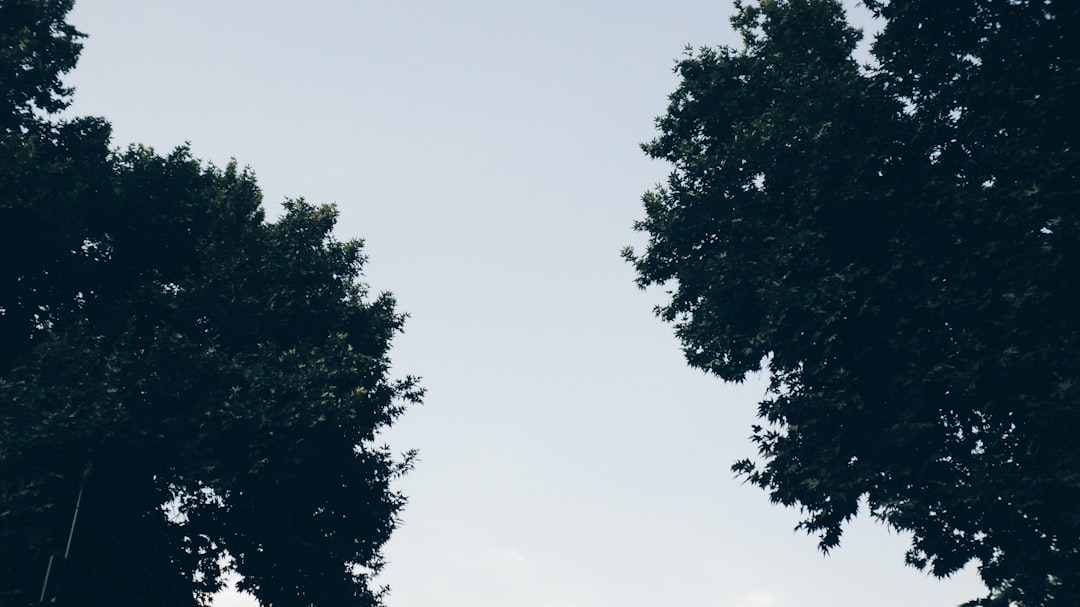 Embracing Patience in Activism