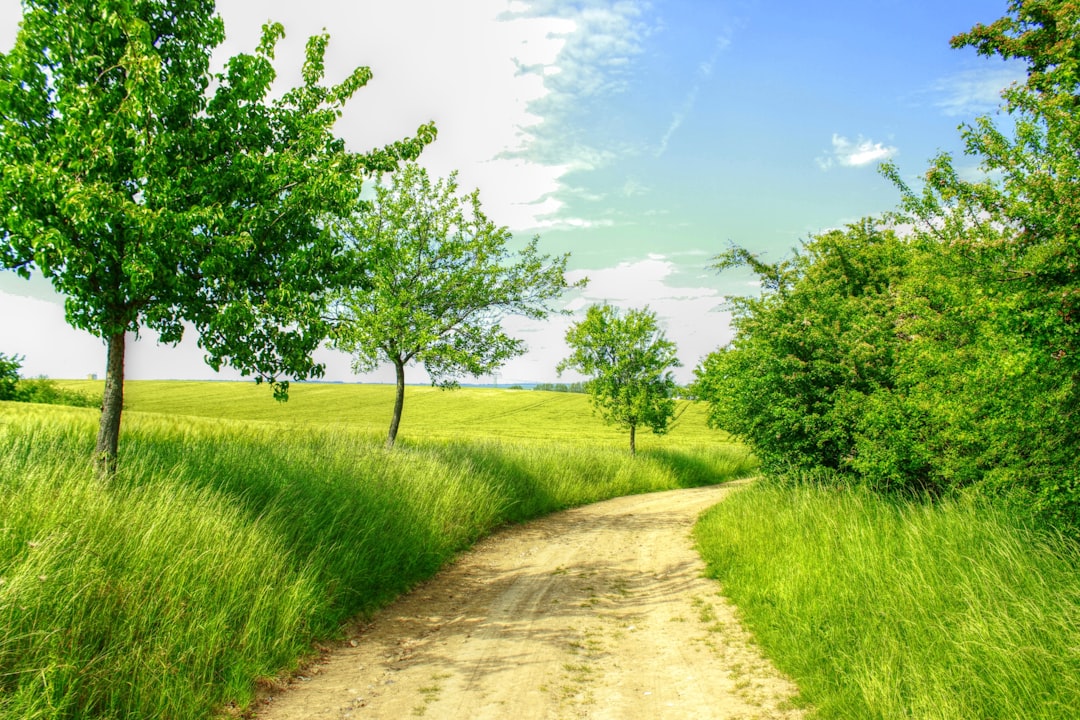 The Path Forward for Climate Policy