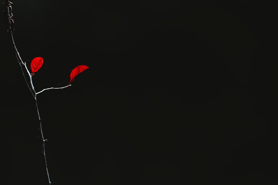 The Assassination of Hardeep Singh Nijjar