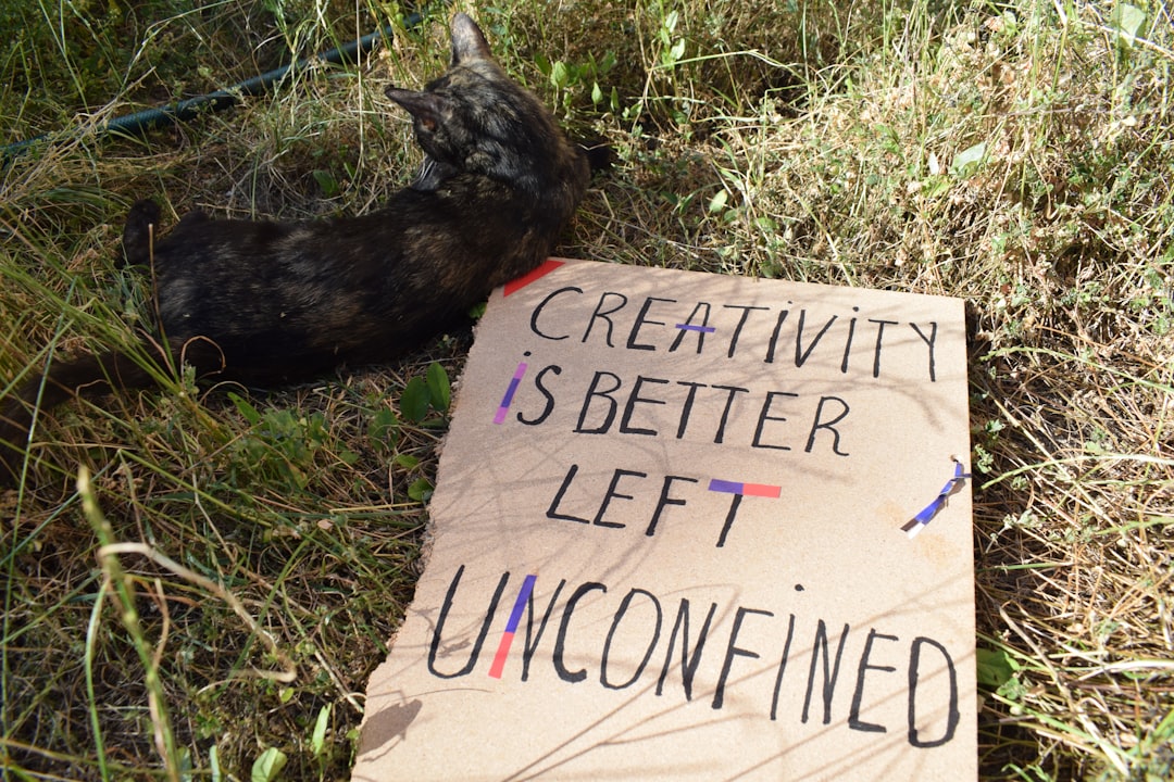 Continued Uncertainty and Urgent Response