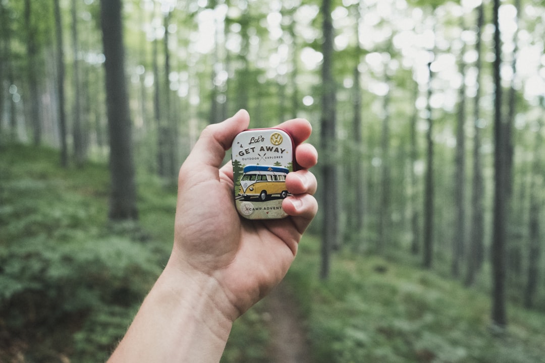 The Journey to Natural Ingredients